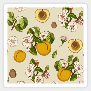 apricot Sticker